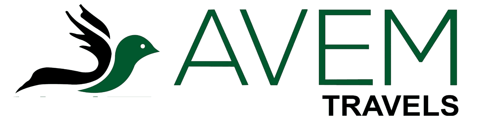 AVEM Travels