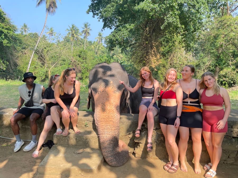 Travellers sitting either side of an elephant at a sanctuary