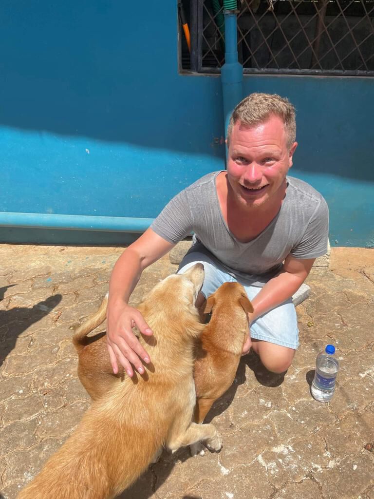 Making friends with two street dogs