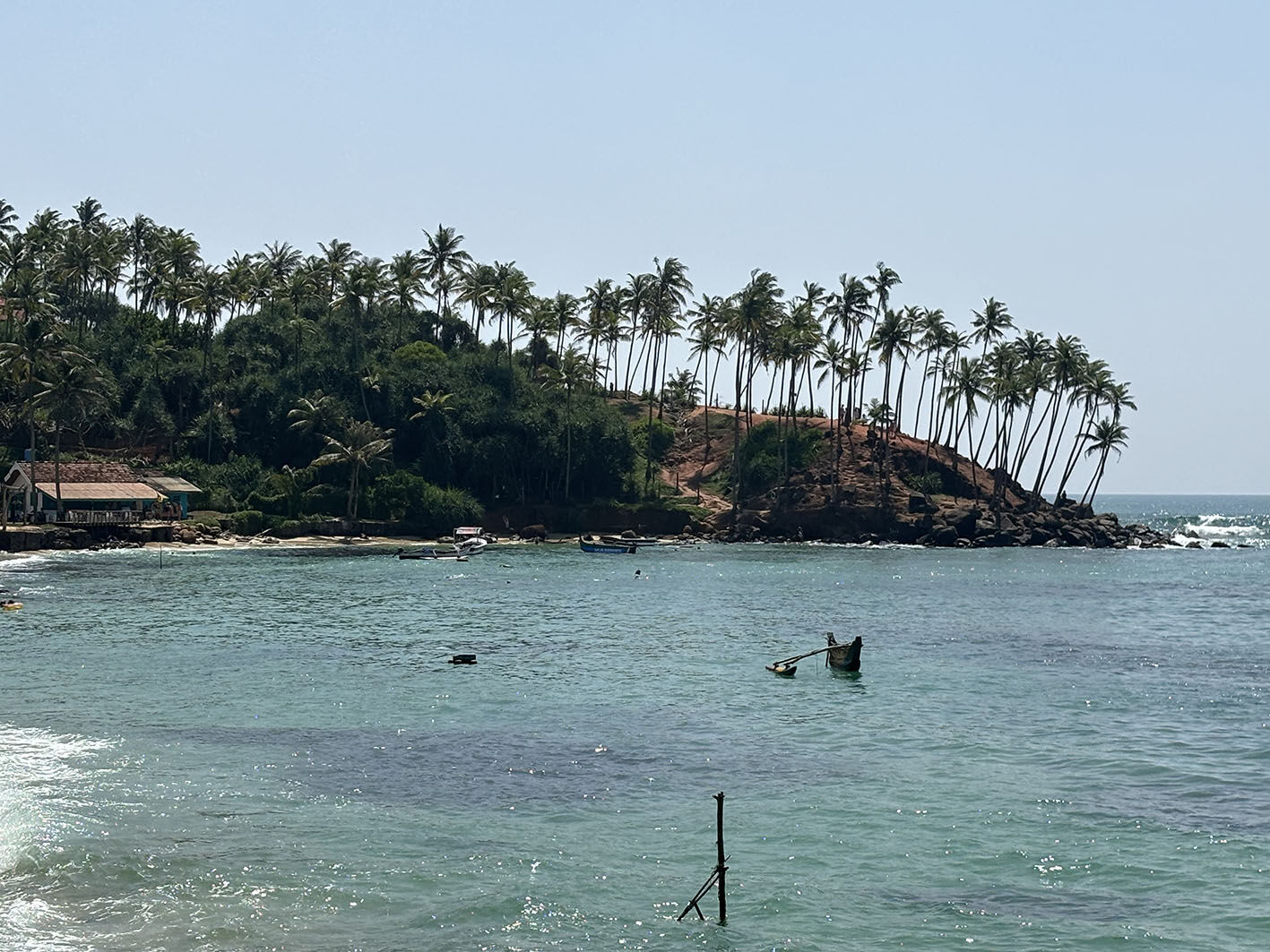 A palm-covered headland above a calm bay