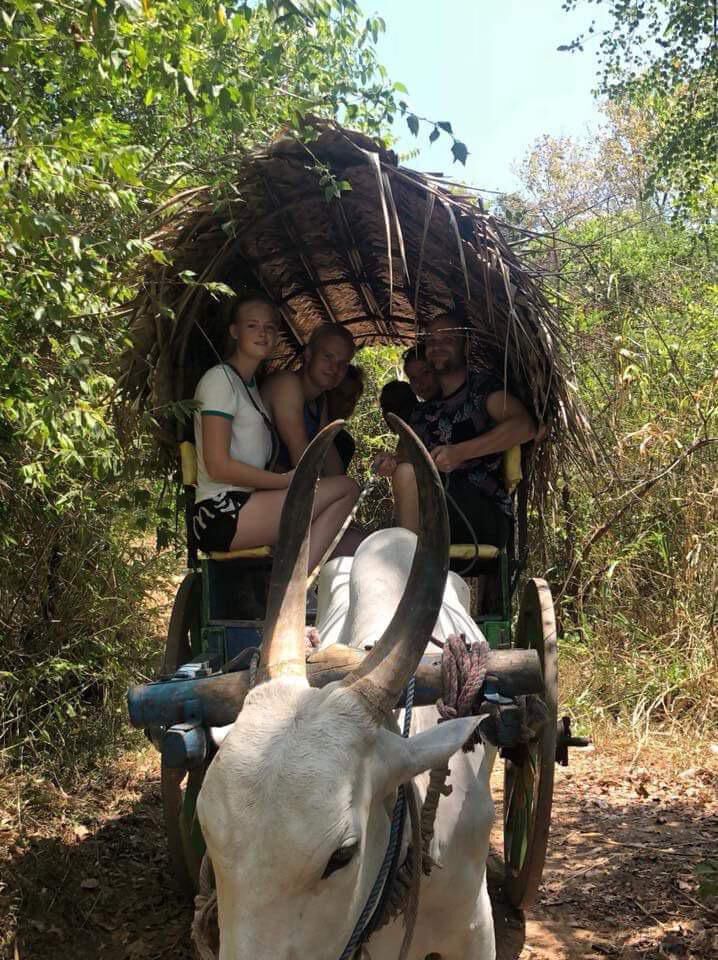 Travellers riding a thatched bullock cart