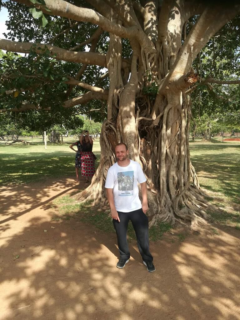 Standing at the foot of a banyan tree