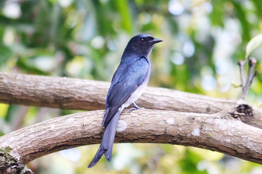 sri-lanka-tours