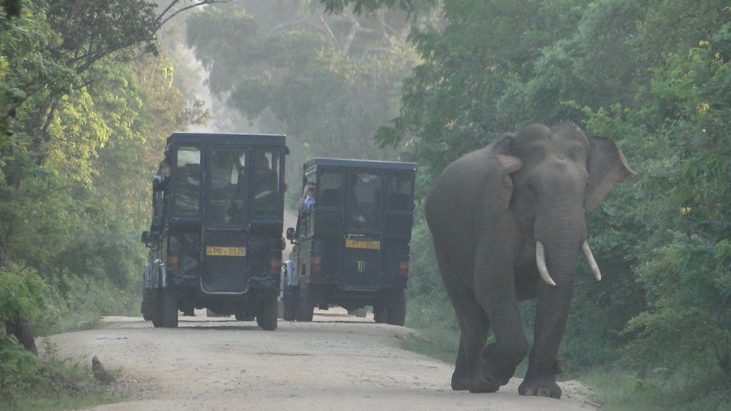 sri-lanka-tours